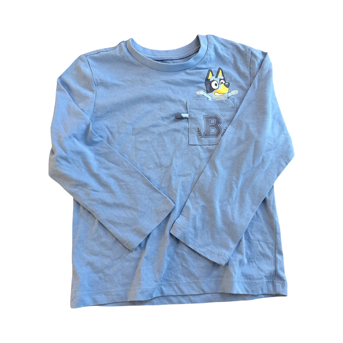 NEUF* Chandail Bluey - 5T