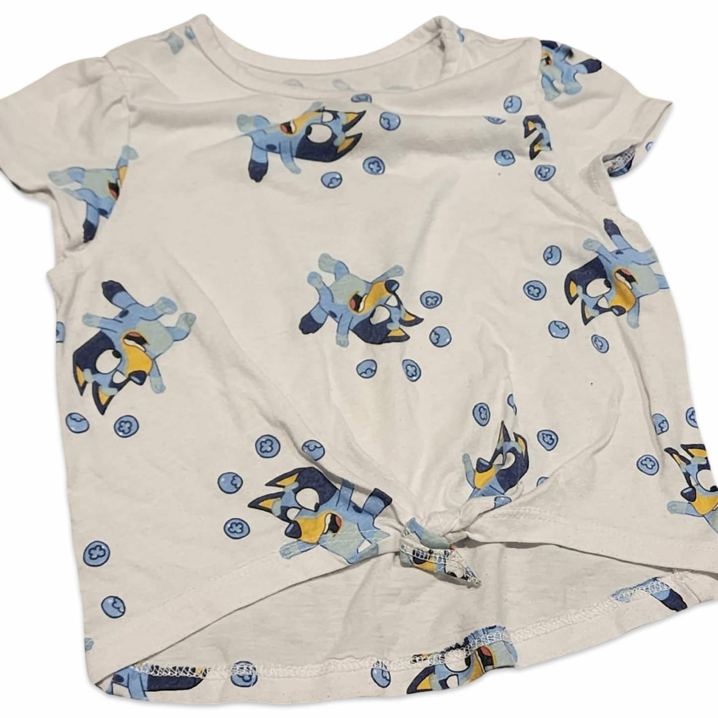 T-Shirt Bluey - 2T
