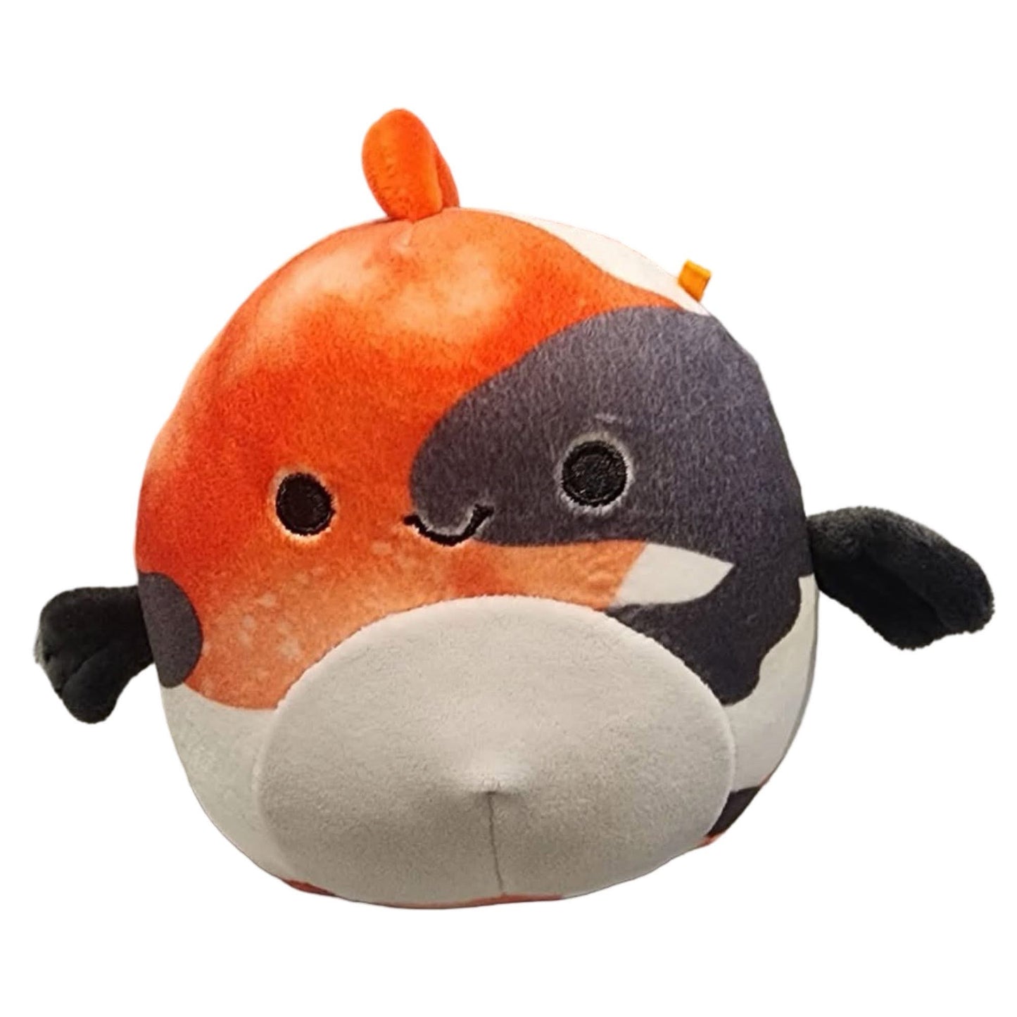 Squishmallow poisson