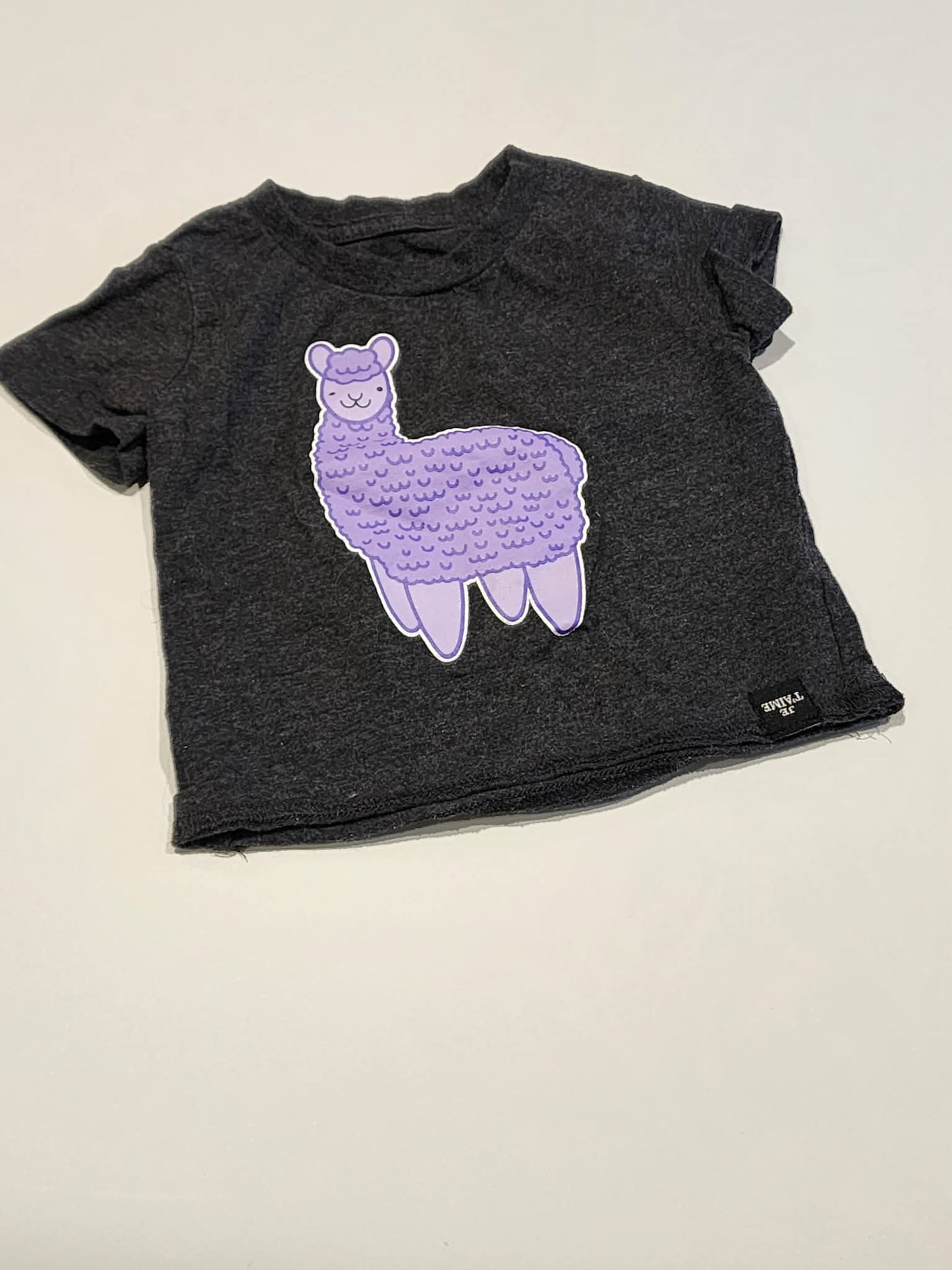 T-Shirt Whistle & Flute - 12/18 mois