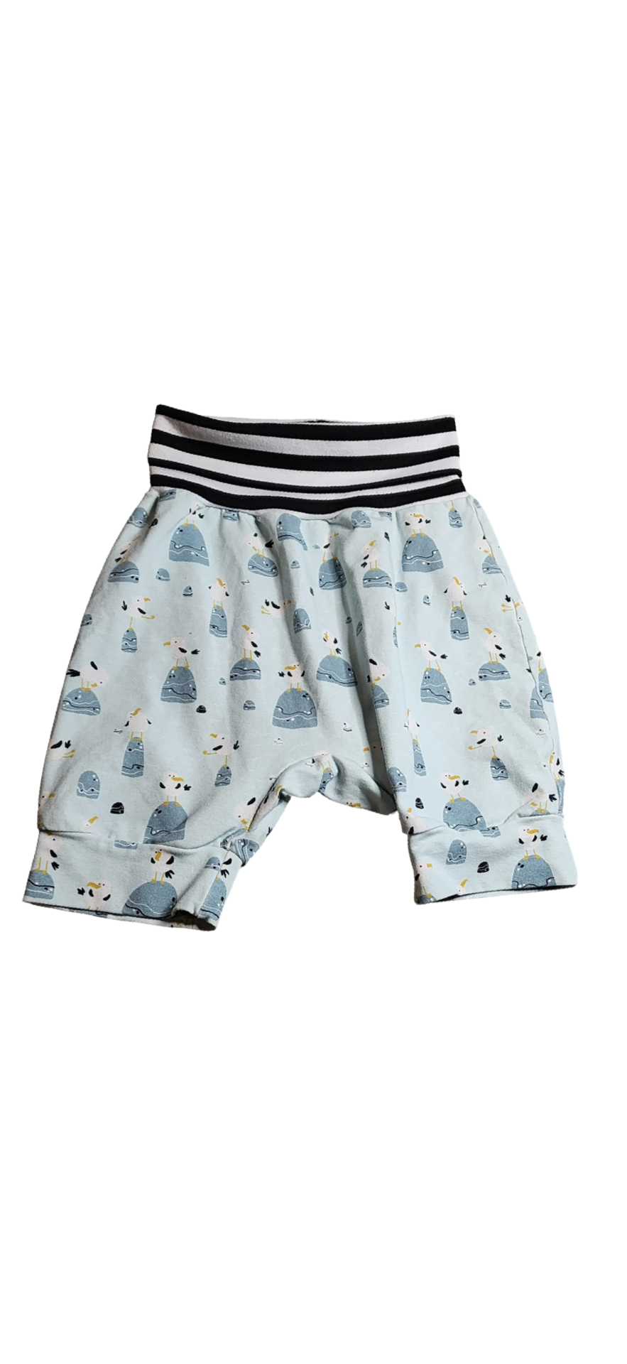 Short Confection - 6T