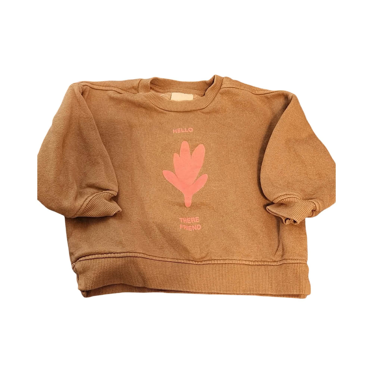 Crewneck ZARA - 3/6 mois (BEG)