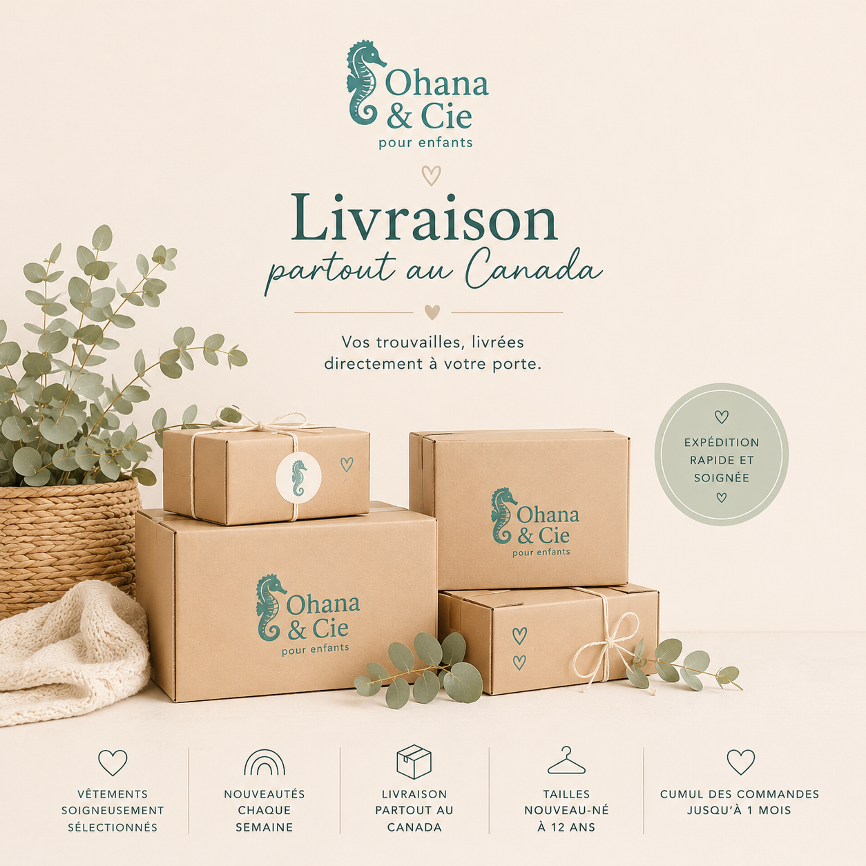Frais de livraison