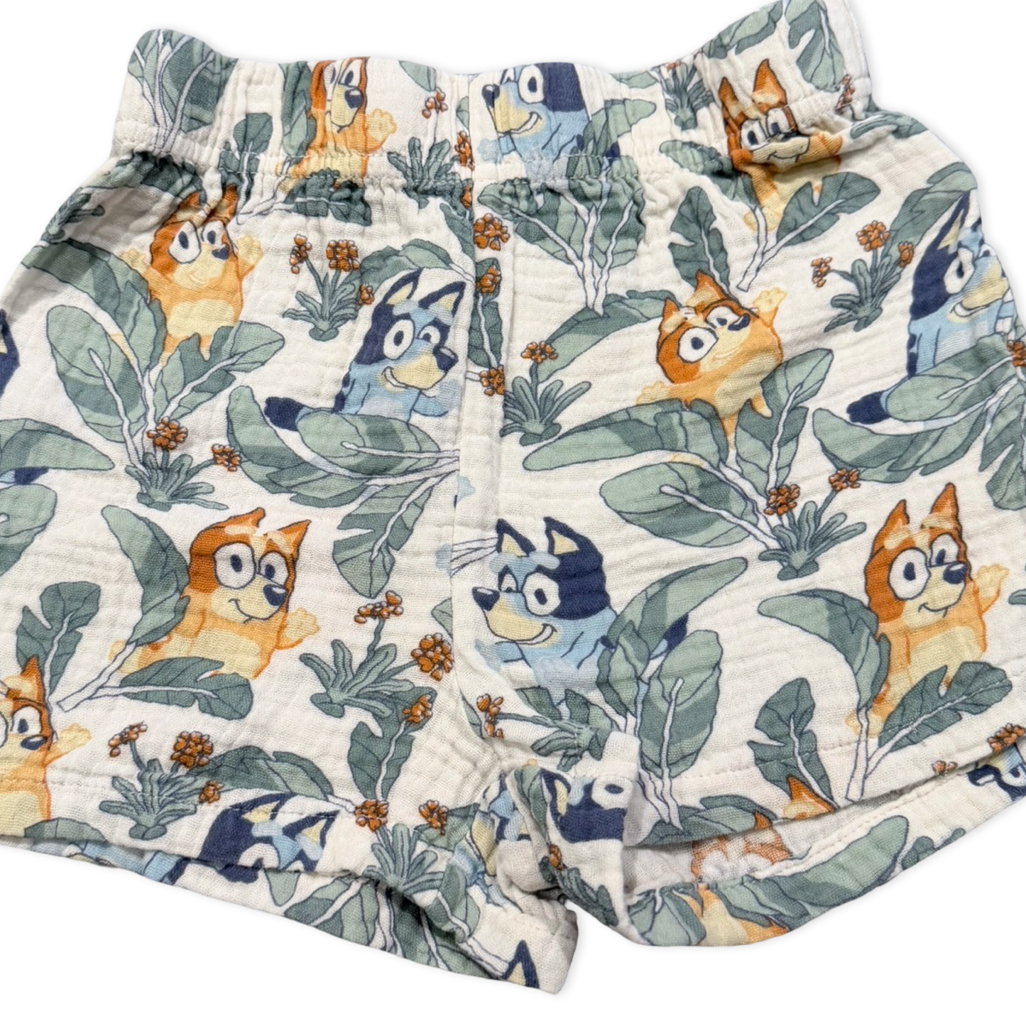 Short Bluey - 5T