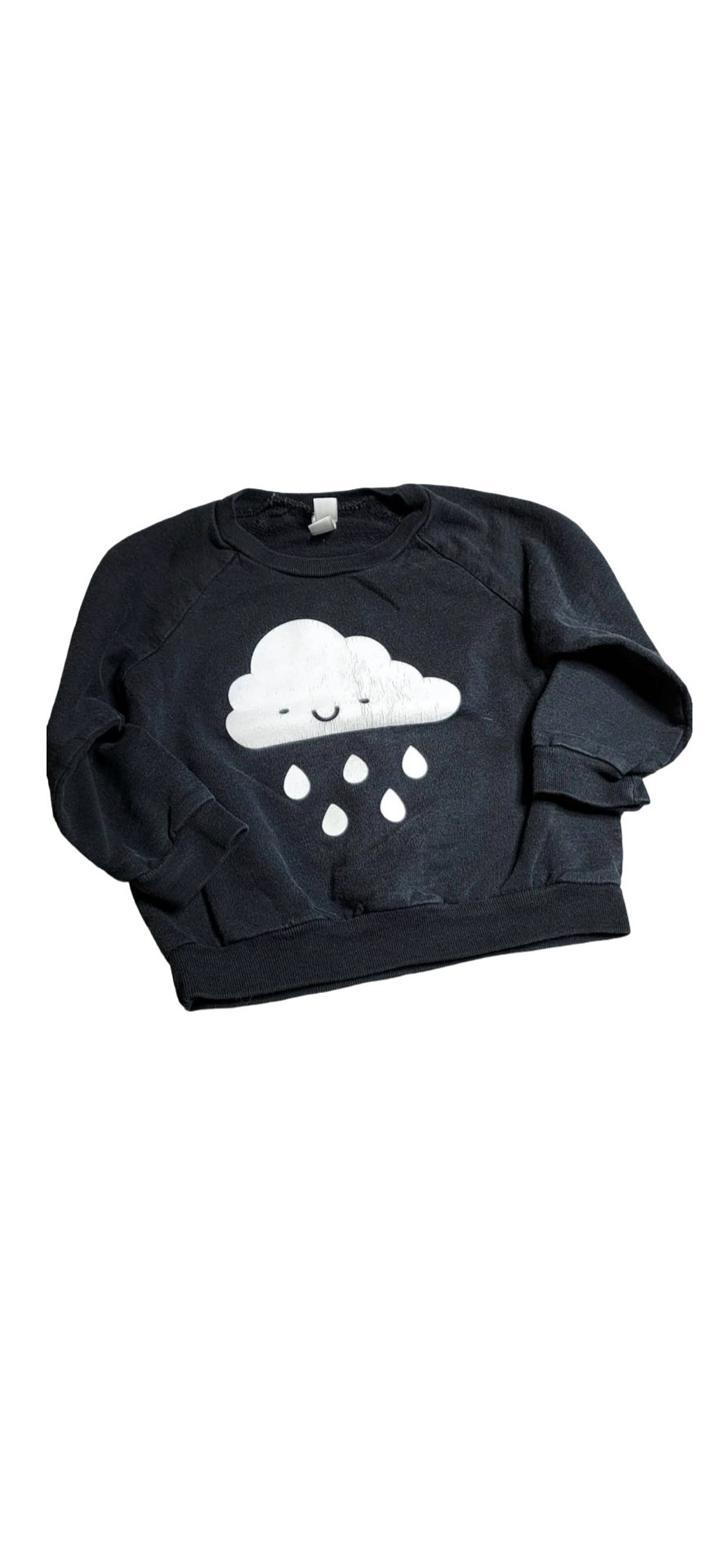 Crewneck Whistle & Flute - 2T