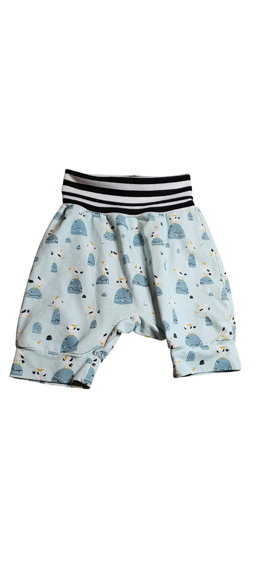 Short Confection - 6T