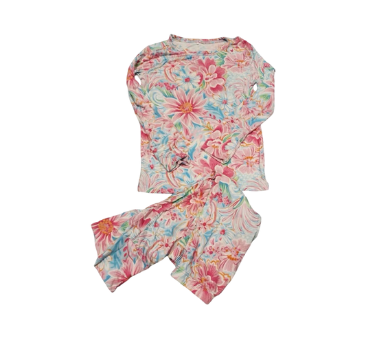 Posh Peanut pajamas (bamboo) - 2T (EUC)