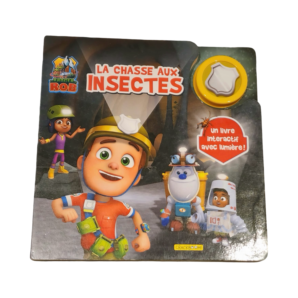 Livre la chasse au insecte (BEG)